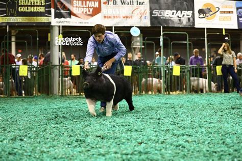 2021 NJSS Hampshire Barrow Show | National Swine Registry