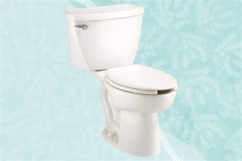 The 6 Best Pressure Assisted Toilets