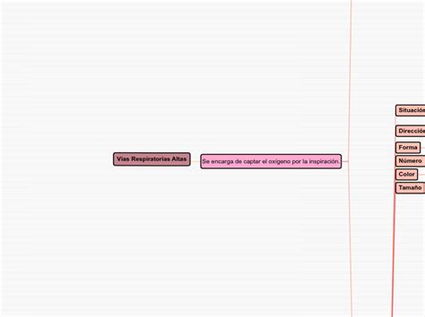 V As Respiratorias Altas Mind Map