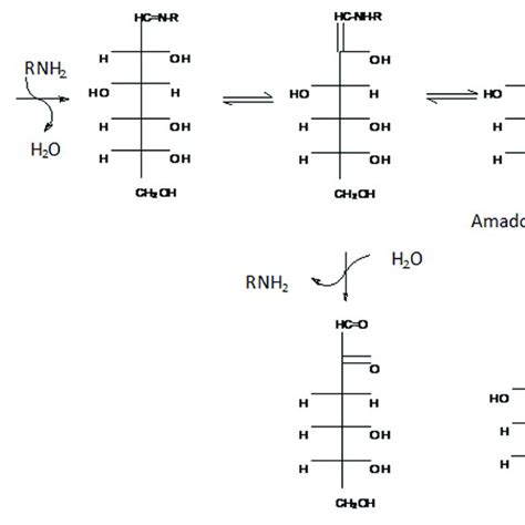 Glucose And Amino Acid Interaction R Amino Acid Side Group Badji