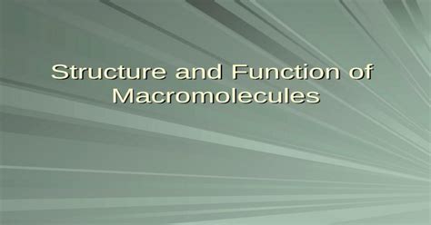 Structure And Function Of Macromolecules Monomers Polymers And