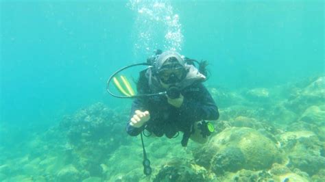 Cerita Mahasiswa Unja Pmm Di Unpatti Nikmati Keberagaman Sampai Diving