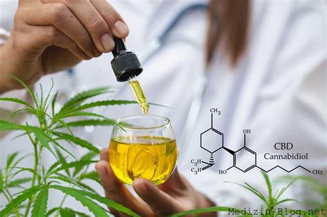 Wie Wirkt Cannabidiol Medizin Blog Net