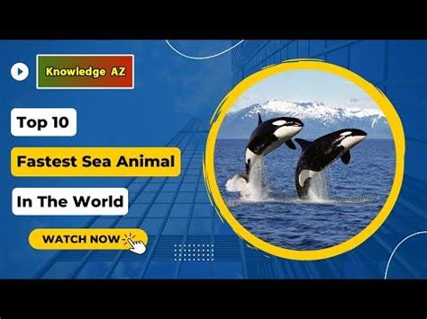 World Watch, Water Animals, Animals Of The World, Knowledge, World ...