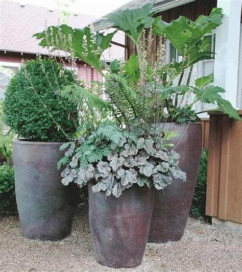 25 Inspirations of Tall Outdoor Potted Plants