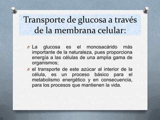 Transporte De Glucosa A Trav S De La Membrana Ppt