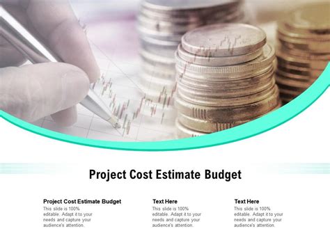 Project Cost Estimate Budget Ppt Powerpoint Presentation Show Sample