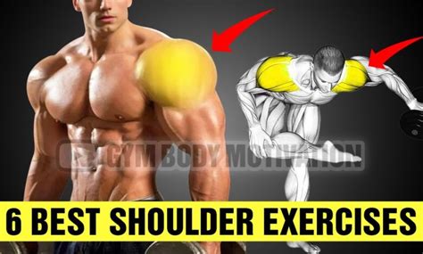 Super Effective Shoulders Exercises Force Muscle Growth Cable Arm