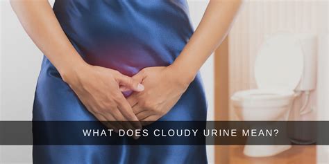 What Causes Cloudy Urine 9 Reasons And Treatments Drformulas