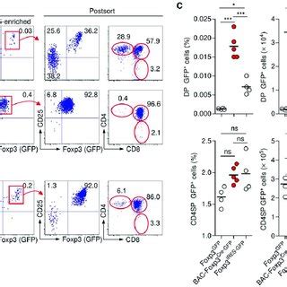 Comparative Quantification Of GFP DP Cells Flow Cytometric Isolation