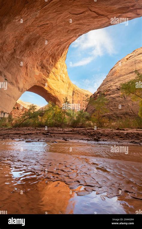 Jacob Hamblin Arch Seen From Beneath Adjacent Giant Sandstone In Coyote