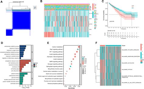 Frontiers An Integrative Multi Omics Analysis Based On Disulfidptosis