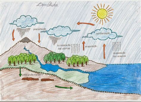 Ciênciasekos O Ciclo Da Água Na Natureza