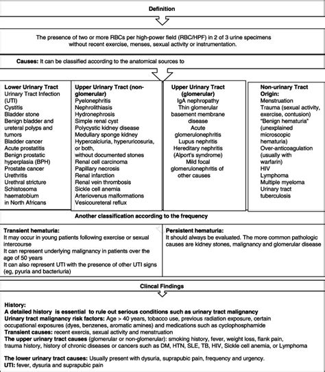 Fig 14 2 Approach To A Patient With Hematuria Skills In