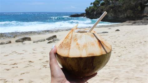Top Coconut Oils: A Buyers Guide - Hunter Games Magazine