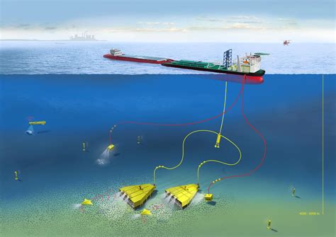 New Zealand deep-sea life needs 'better protection' from mining, study