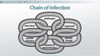 Reservoir Chain Of Infection Examples