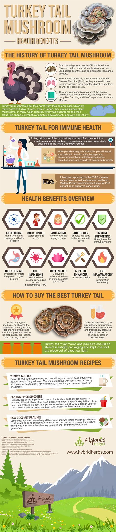 Turkey Tail Mushroom Health Benefits