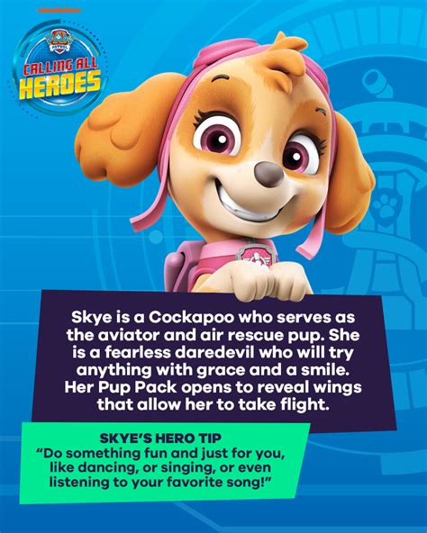 PAW Patrols Tips For Being A Hero Nickelodeon Parents