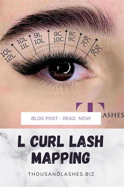 A Comprehensive Guide To Lash Mapping Curl Lashes Lashes Eyelash