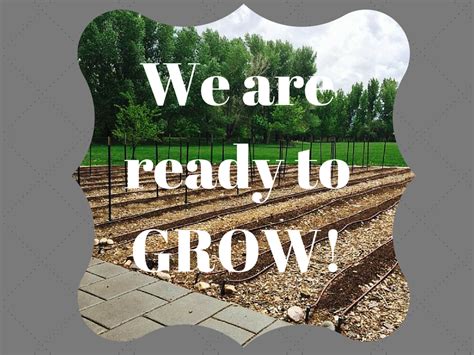 We are ready to Grow! - The Organic Forecast