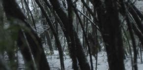 DARLIN NUDE SCENES AZNude