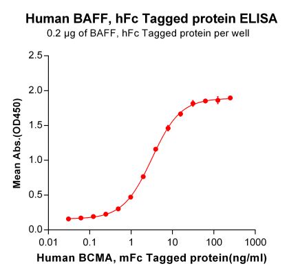 Human BAFF Protein HFc Tag DIMA Biotechnology