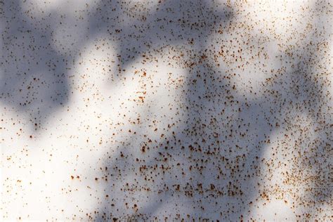 rusty white metal stock  images  backgrounds