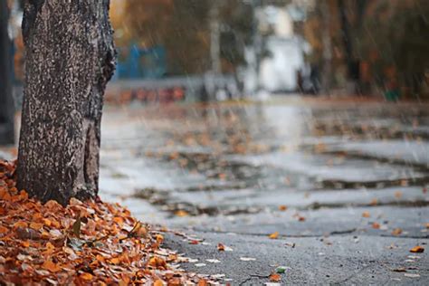 Agarrate fuerte Anuncian chaparrones y viento frío con ráfagas de