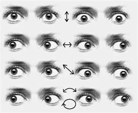 Exercicios Para Estrabismo - 6 Ejercicios para el estrabismo: Fortalezca sus ojos y mejore su visión