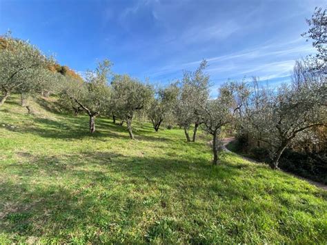 Terreno Agricolo Via Intercomunale Di Valenza 23 Castel San Pietro