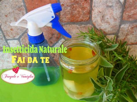 Insetticida Naturale Fai Da Te Sloppina In Cucina Fragole E Vaniglia