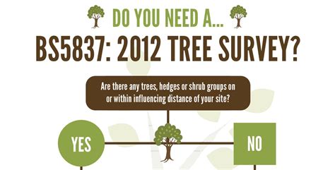 Infographic Do I Need A Bs5837 Tree Survey Arbtech