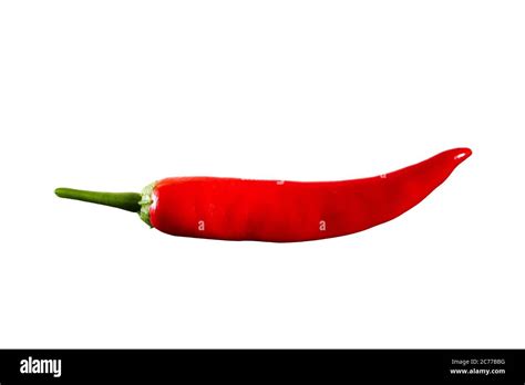 Red Chilli Pepper Isolated On A White Background Hot Red Chilli Pepper Isolated On A White