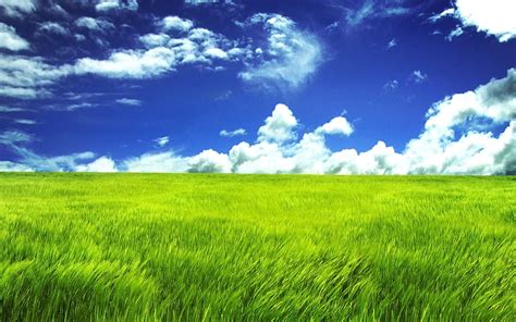 Grassland K Wallpapers Wallpaper Cave