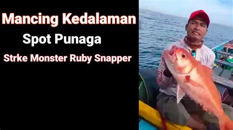 Mancing Kedalaman Spot Punaga Strike Monster Ruby Snapper Mancing