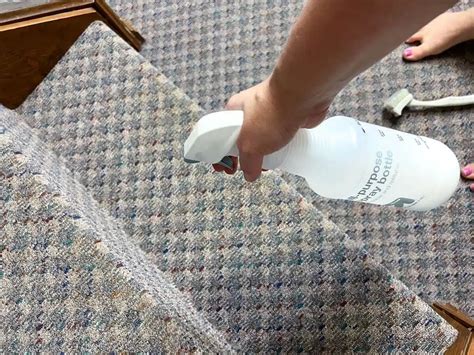 How To Easily Clean Carpet On Stairs - The DIY Nuts