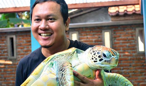 Terpesona Dengan Keindahan Pantai Batu Hiu Pangandaran