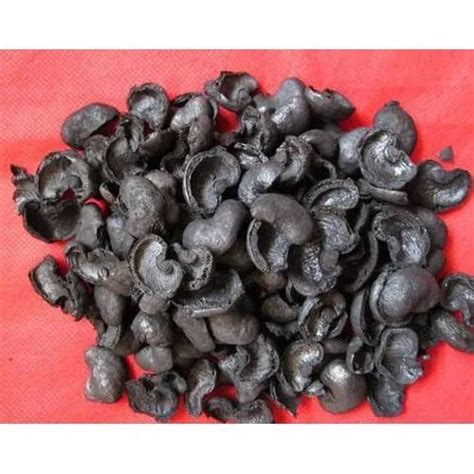 Cashew Nut Shell at ₹ 10/kg | Dhenkanal | Bhubaneswar | ID: 22343246430