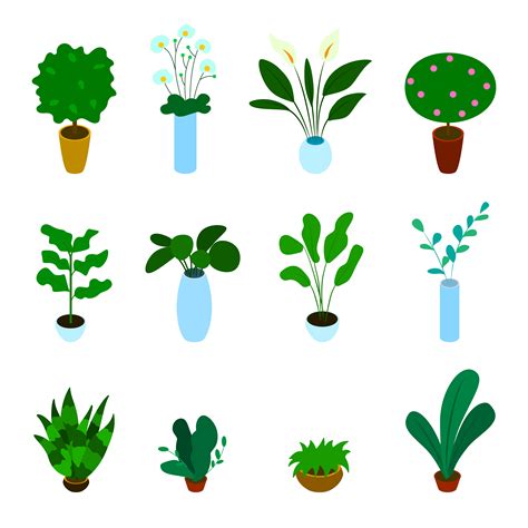 Isometric Vector Set Of Potted Plants Vector Art At Vecteezy