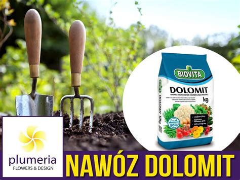 Dolomit Naw Z Wapniowo Magnezowy Kg Sklep Ogrodniczy Plumeria Pl