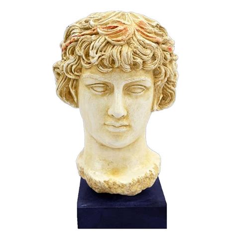 Antinous Bust Antinoos Ancient Greece Rome Emperor Hadrian Favorite Etsy