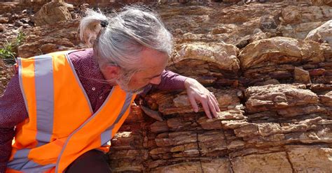 Scientists discover lost world of early ancestors in billion-year-old ...