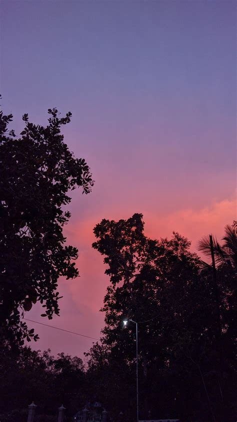 Pink And Purple Sky At Sunset