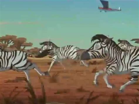 Image - Zebras Galloping.JPG - Wild Thornberrys Wiki