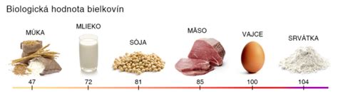 Zdroje Bielkov N V Na Ej Strave Mudr Richard Koz R Blog Pravda Sk
