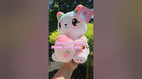 The Cutest Strawberry Panda Plushie Ever 🤭🍓🐼 Plushies Plushtoys Plush Pandas Youtube