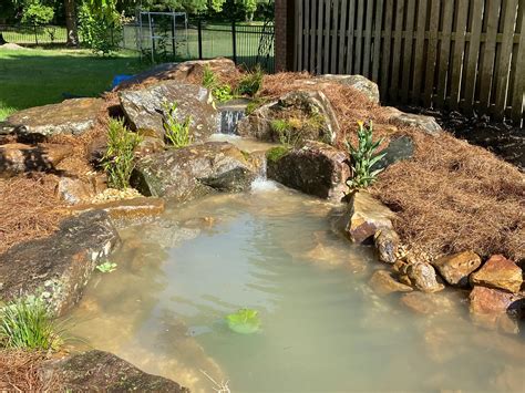 How To Care For Your EcoSystem Pond And Fish In The Winter | Memphis