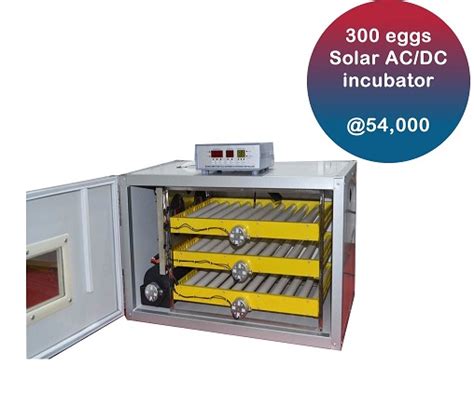 Optimal Egg Incubator Settings Ecochicks Poultry Ltd