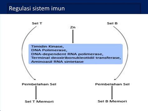 Ppt Diare Cair Akut Dan Disentri Powerpoint Presentation Free Download Id5318795